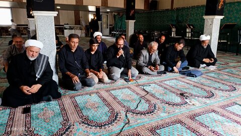 تصاویر/ سوگواری اربعین حسینی در کشاورز