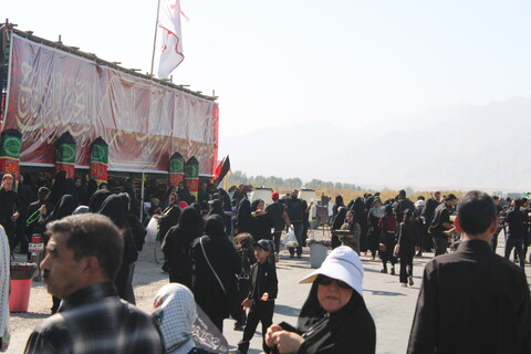 تصاویر/ مردم کرمان همقدم با کاروان کربلا در پیاده روی دلدادگان حسینی