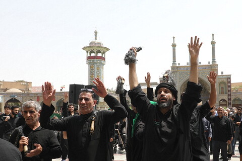 تصاویر/ حضور دسته‌جات عزاداری اربعین حسینی در حرم حضرت معصومه (س)