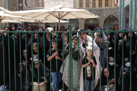 تصاویر/ حضور دسته‌جات عزاداری اربعین حسینی در حرم حضرت معصومه (س)