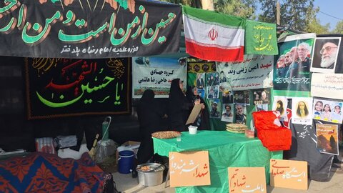 تصاویر مراسم پیاده روی جاماندگان اربعین حسینی در پلدختر