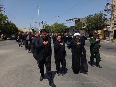 تصاویر/ مراسم پیاده روی جاماندگان اربعین حسینی شهرستان ماهنشان