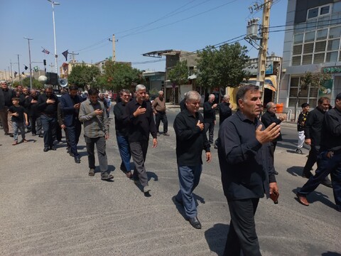 تصاویر/ مراسم پیاده روی جاماندگان اربعین حسینی شهرستان ماهنشان