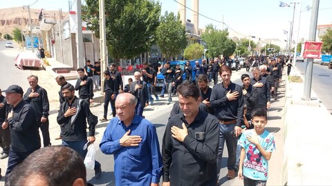 تصاویر/ مراسم پیاده روی جاماندگان اربعین حسینی شهرستان ماهنشان