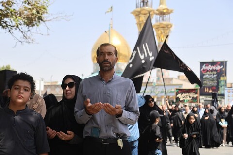 تصاویر / جاماندگان