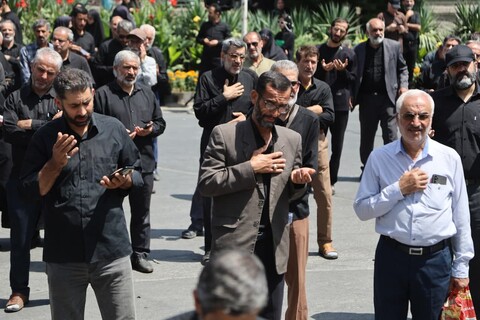 تصاویر / جاماندگان