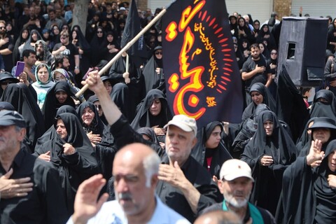 تصاویر / جاماندگان