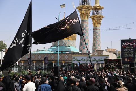 تصاویر / جاماندگان