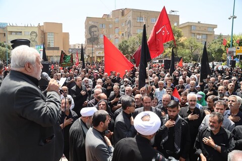 تصاویر / جاماندگان