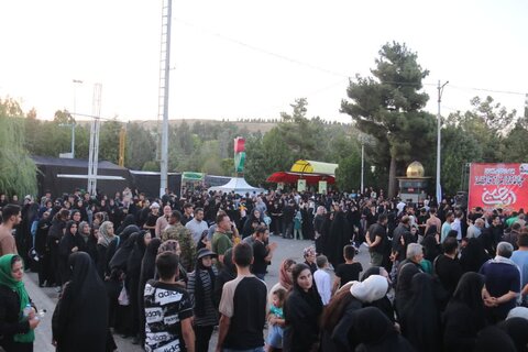 تصاویر/ پیاده‌روی جاماندگان اربعین حسینی در چایپاره