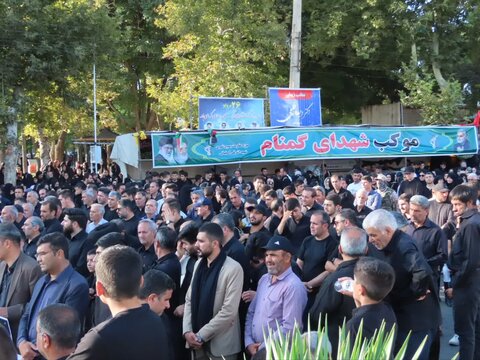 تصاویر/ پیاده‌روی جاماندگان اربعین حسینی در چایپاره