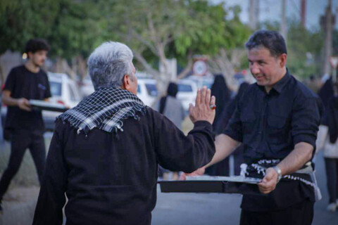 تصاویر/ پیاده‌روی جاماندگان اربعین در بوشهر