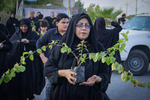 تصاویر/ پیاده‌روی جاماندگان اربعین در بوشهر