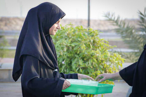 تصاویر/ پیاده‌روی جاماندگان اربعین در بوشهر