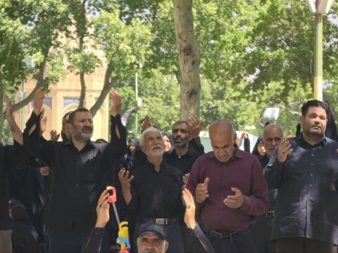 تصاویر / مراسم جاماندگان اربعین حسینی در تویسرکان