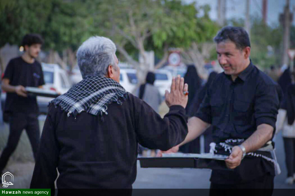 تصاویر/ پیاده‌روی جاماندگان اربعین در بوشهر