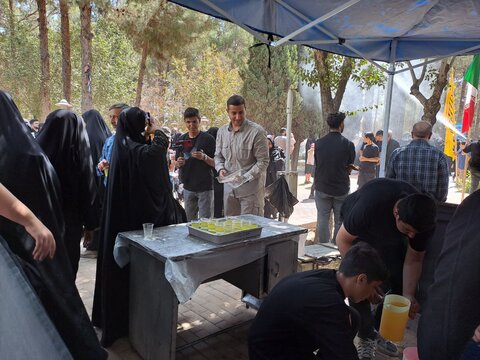 همایش جاماندگان اربعین حسینی در نایین