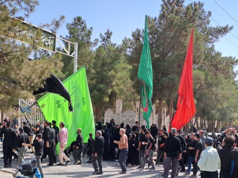 همایش جاماندگان اربعین حسینی در نایین