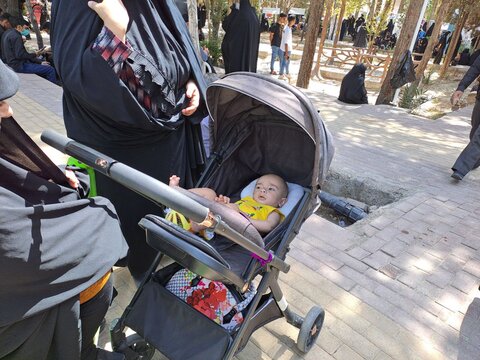 همایش جاماندگان اربعین حسینی در نایین