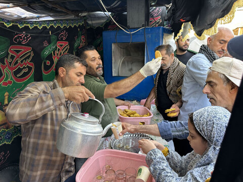 تصاویر| موکب داران خراسان جنوبی در کاظمین