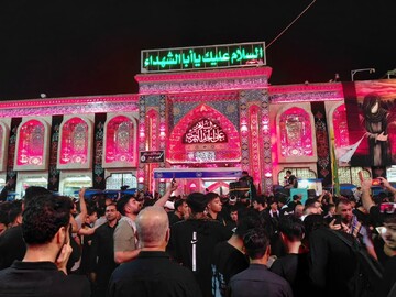 اربعین امسال به نماد وحدت و همدلی بیشتر مسلمانان جهان تبدیل شد+ تصاویر