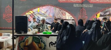 خدمت‌رسانی ۱۲۵ موکب بوشهری در مسیرهای زائران اربعین حسینی