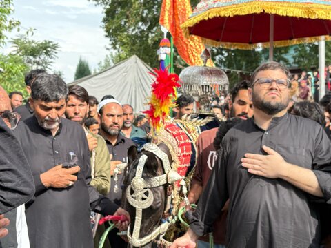 جموں و کشمیر میں انجمن شرعی شیعیان کے اہتمام سے یوم اربعین کی تقریبات کا انعقاد