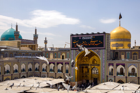 تصاویر/ کتیبه آرایی اماکن متبرکه رضوی در دهه پایانی ماه صفر