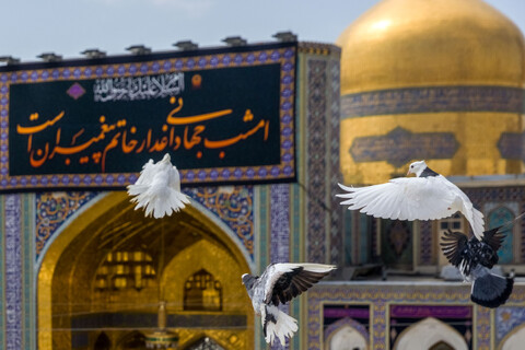 تصاویر/ کتیبه آرایی اماکن متبرکه رضوی در دهه پایانی ماه صفر