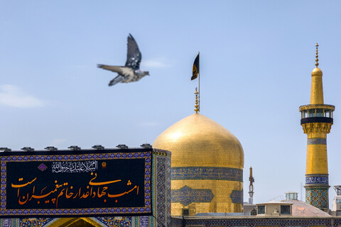 تصاویر/ کتیبه آرایی اماکن متبرکه رضوی در دهه پایانی ماه صفر