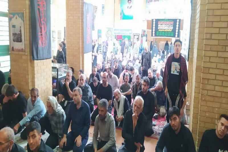 اربعین حسینی تجلی عشق به ولایت و امام حسین(ع) است+عکس