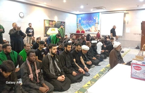 دیدار جمعی از جوانان فعال فرهنگی کشورهایی با آیت الله مروی در کربلای معلّی