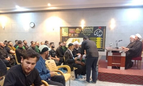 دیدار جمعی از جوانان فعال فرهنگی کشورهایی با آیت الله مروی در کربلای معلّی