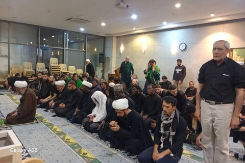 دیدار جمعی از جوانان فعال فرهنگی کشورهایی با آیت الله مروی در کربلای معلّی