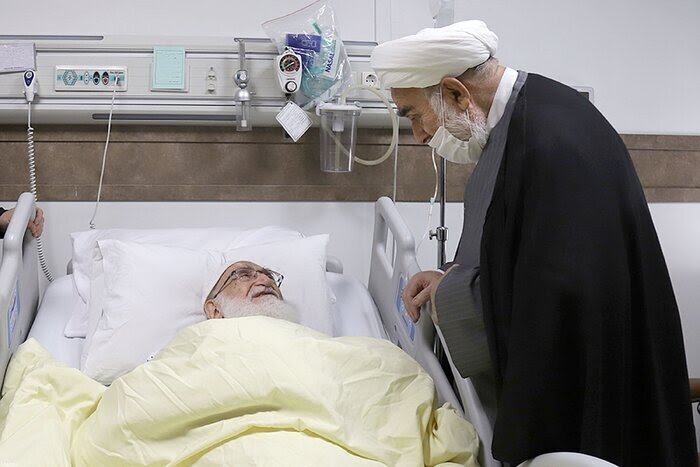 دفتر رہبر انقلاب کے سربراہ کی آیت اللہ العظمیٰ نوری ہمدانی کی عیادت