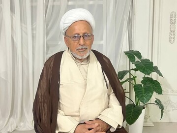 امام رضا (ع) الگوی زنده مبارزه با ظلم است