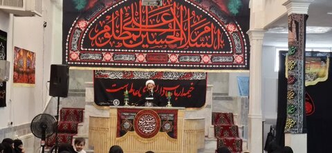 امام زمانہ (عج) کی زیارت کی خواہش، کمالِ انسانیت کی نشانی ہے