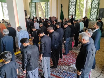 تصاویر/ نماز عبادی سیاسی جمعه قمصر