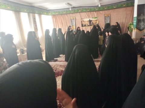 تصاویر/برگزاری مراسم عزاداری دهه آخر ماه صفر در دلیجان