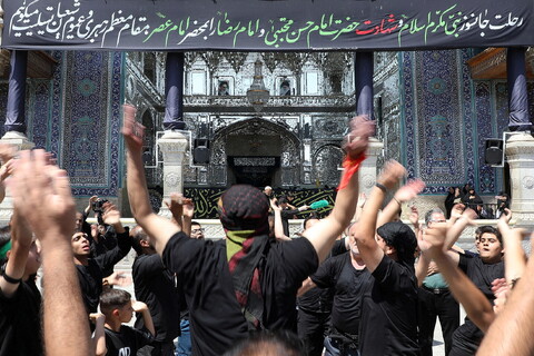 تصاویر/  حال و هوای حرم حضرت معصومه (س) در روز رحلت پیامبر(ص) و شهادت امام مجتبی (ع)