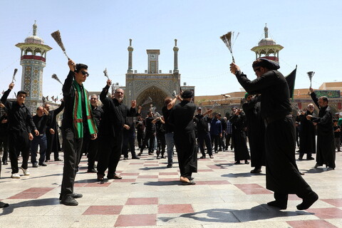 تصاویر/  حال و هوای حرم حضرت معصومه (س) در روز رحلت پیامبر(ص) و شهادت امام مجتبی (ع)