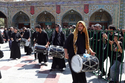 تصاویر/  حال و هوای حرم حضرت معصومه (س) در روز رحلت پیامبر(ص) و شهادت امام مجتبی (ع)