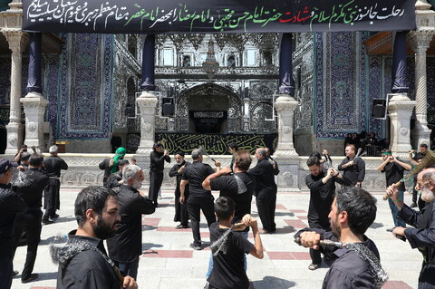 تصاویر/  حال و هوای حرم حضرت معصومه (س) در روز رحلت پیامبر(ص) و شهادت امام مجتبی (ع)