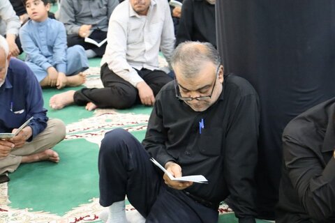 تصاویر/ عزاداری ۲۸ صفر در بندر دیر