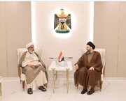 عراق؛ علامہ راجہ ناصر عباس جعفری کی سید عمار حکیم سے ملاقات/باہمی دلچسپی کے امور اور امتِ مسلمہ کو درپیش چیلنجز پر تبادلہ خیال