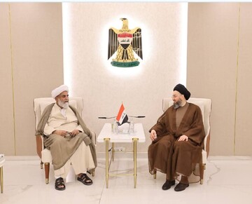 دیدار رئیس مجلس وحدت مسلمین پاکستان با حجت‌الاسلام سید عمار حکیم در بغداد