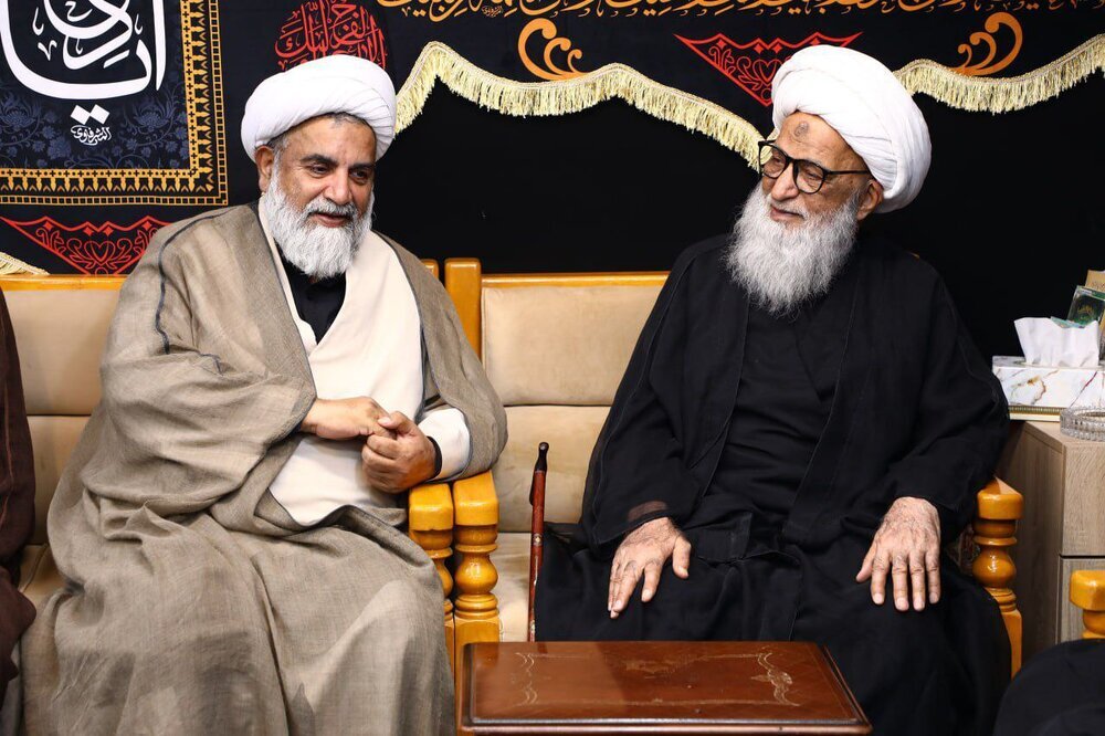 Raisi wa Baraza la Umoja wa Waislamu Pakistani, akutana na Ayatullah al-Udhma Hafidh Bashir Hussein Najafi katika mji wa Najafu Ashraf