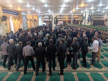 تصاویر/ اجتماع امام رضایی ها در بوشهر