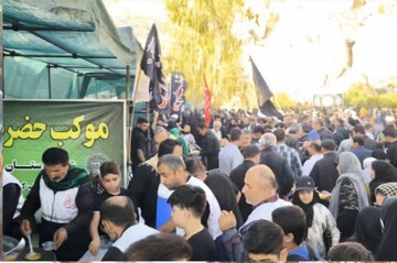 پیاده روی ولایت در جم برگزار شد