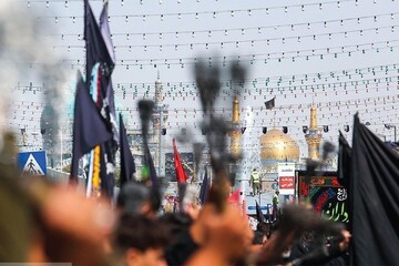 فیلم| اجتماع عزاداران بوشهری در حرم مطهر رضوی